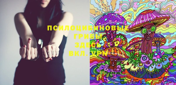 спайс Апатиты