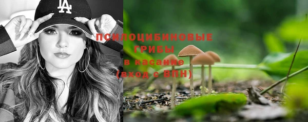 ПСИЛОЦИБИНОВЫЕ ГРИБЫ Мегион
