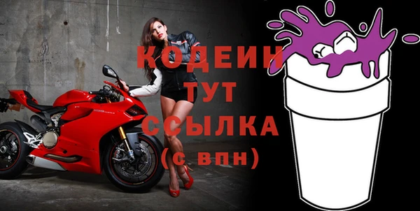 хмурый Михайловск
