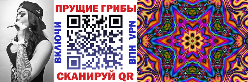 Галлюциногенные грибы Psilocybine cubensis  блэк спрут как войти  Вышний Волочёк 