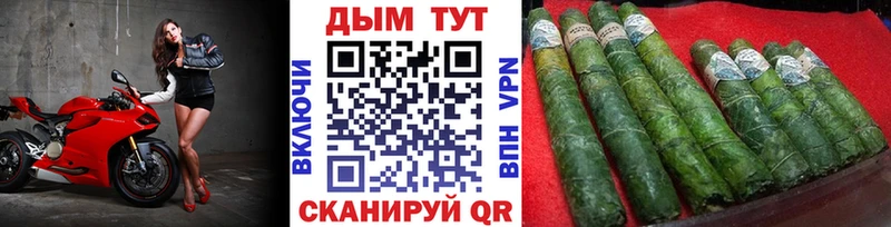 наркотики  Вышний Волочёк  Каннабис OG Kush 